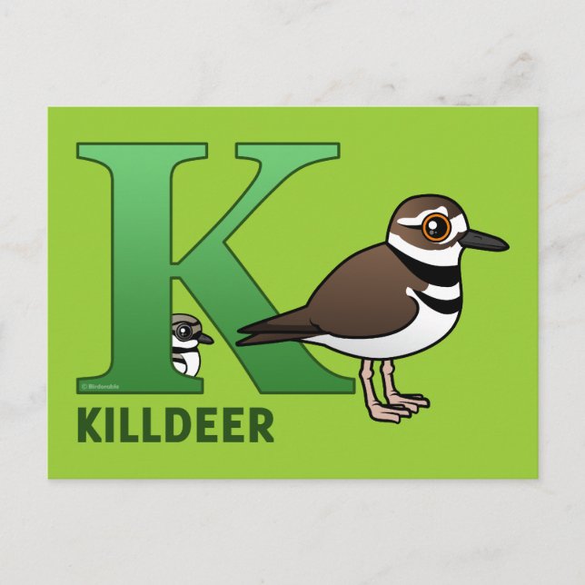 K is for Killdeer Postcard (Front)
