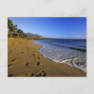 Kaanapali beach, Maui, Hawaii, USA Postcard
