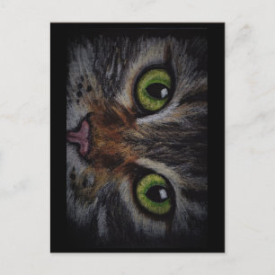 Kaart kat postcard