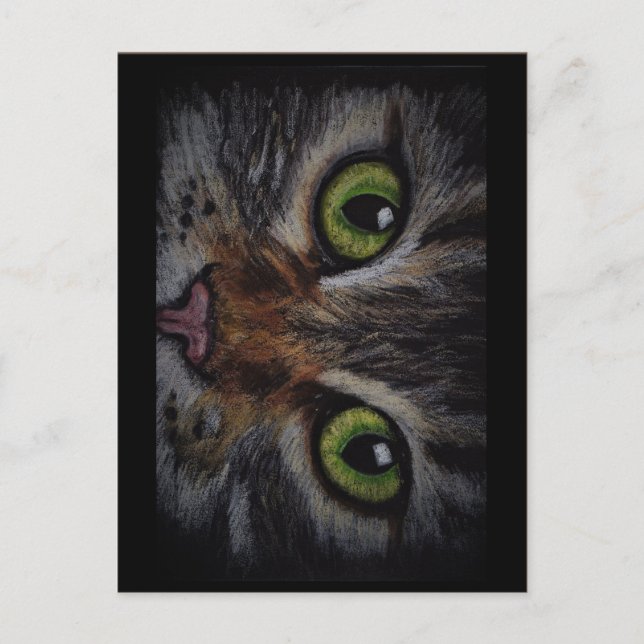 Kaart kat postcard (Front)