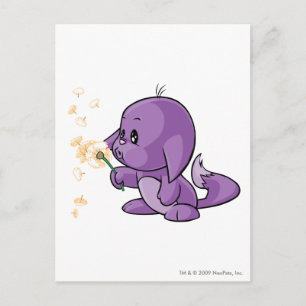 Kacheek Purple Postcard