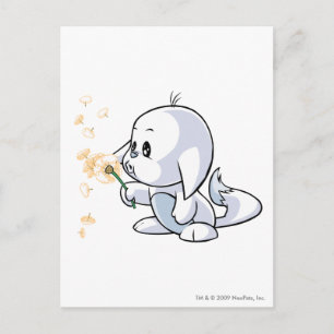 Kacheek White Postcard