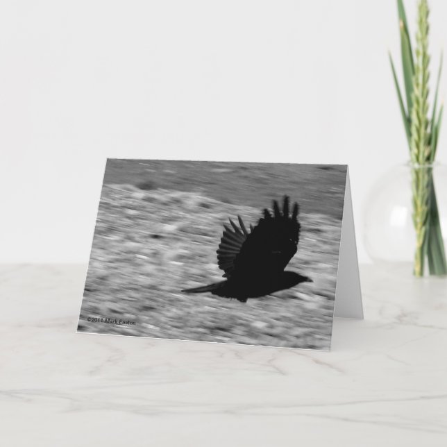 Kachemak Bay Raven Card (Front)