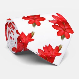 Kaffir Lily / River Lily / Hesperantha Coccinea Tie