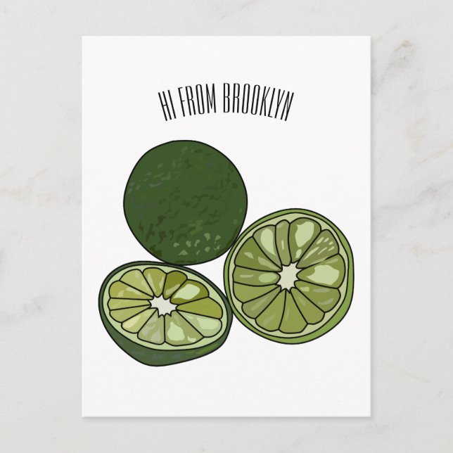Kaffir lime cartoon illustration postcard (Front)