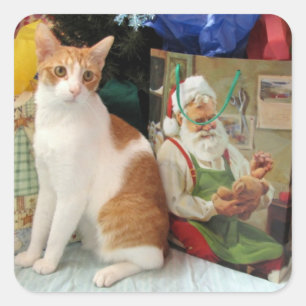 Kagan's Christmas Gifts - Cat / Kitten  Stickers