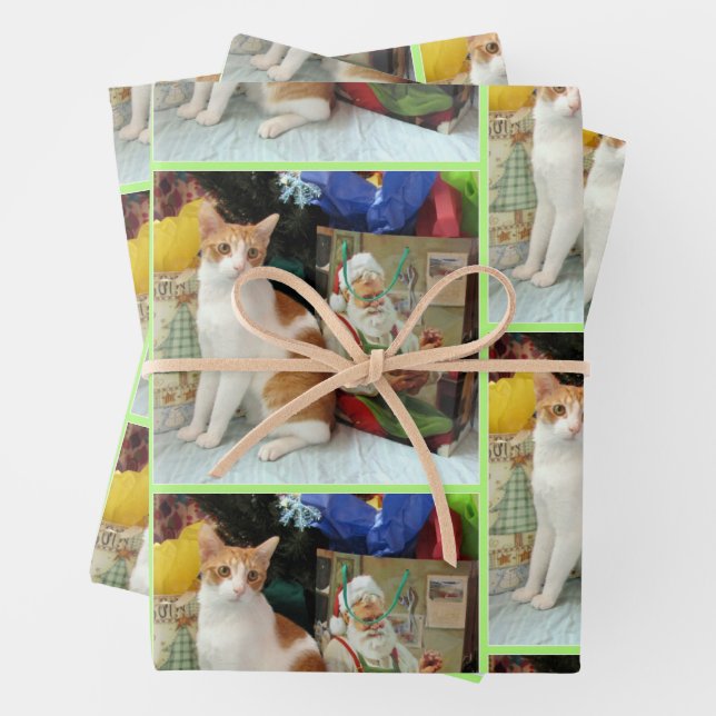Kagan's Christmas Gifts - Cat / Kitten  Wrapping Paper Sheet (In situ)