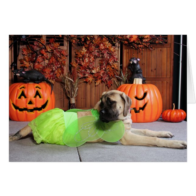 Kahlua - English Mastiff - Phiathep (Front Horizontal)