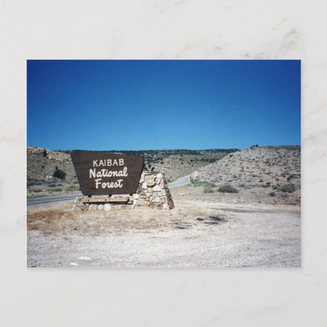 Kaibab National Forest Sign Postcard (Front)