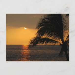 Kailua-Kona, Hawaii, Sunset Postcard