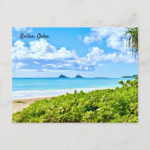 Kailua, Oahu  Postcard