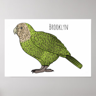 Kakapo bird cartoon illustration  poster
