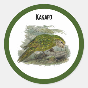 Kakapo Green Owl Parrot, Rare Bird Illustration Classic Round Sticker