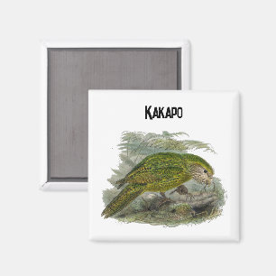 Kakapo Green Owl Parrot, Rare Bird Illustration Magnet