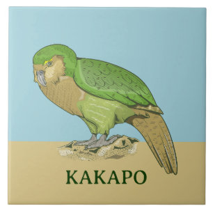 Kakapo illustration ceramic tile