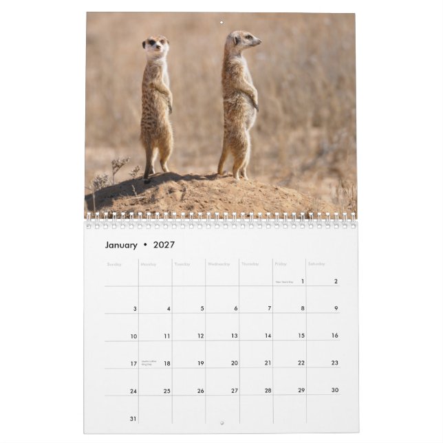 Kalahari! Calendar Mammals of Kgalagadi (Jan 2027)