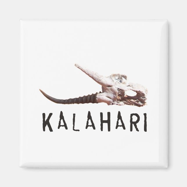 Kalahari desert in Africa: Dead antelope skull Magnet (Front)