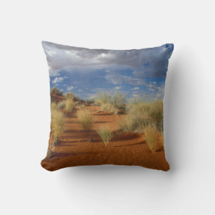 Kalahari Desert Scene, Kgalagadi Transfrontier 2 Cushion
