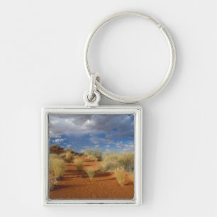 Kalahari Desert Scene, Kgalagadi Transfrontier 2 Key Ring