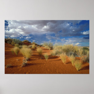 Kalahari Desert Scene, Kgalagadi Transfrontier 2 Poster
