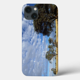 Kalahari Desert Scene, Kgalagadi Transfrontier iPhone 13 Case