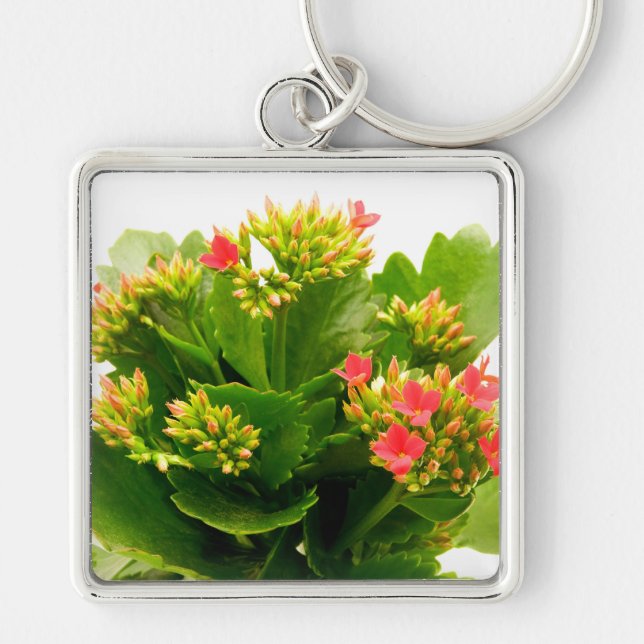 Kalanchoe blossfeldiana key ring (Front)