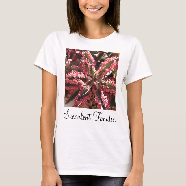 Kalanchoe 'Butterfly Wings' ladies' T-shirt (Front)