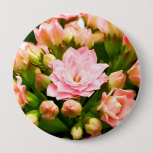 Kalanchoe calandiva 10 cm round badge