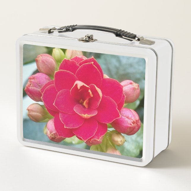 Kalanchoe Flower Metal Lunch Box (Front)