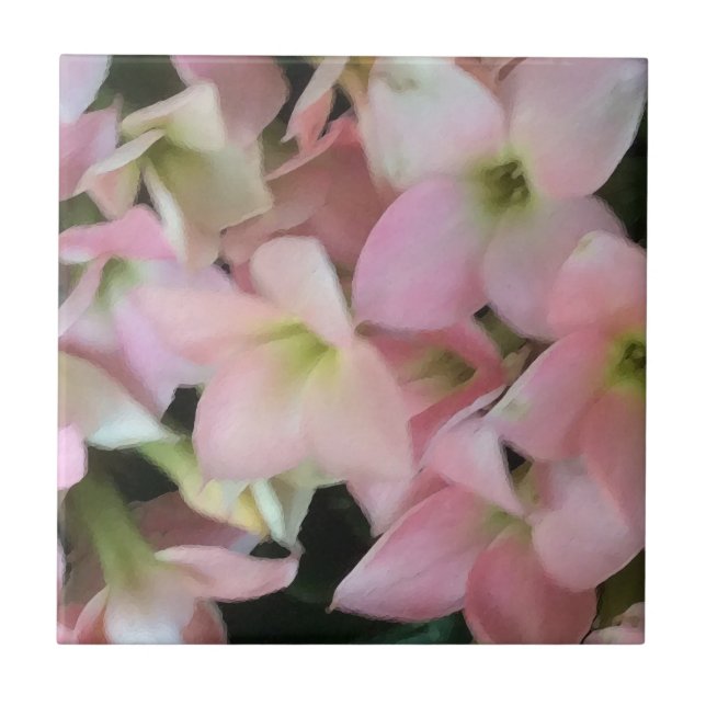 Kalanchoe Flowers Ceramic Tile (Front)