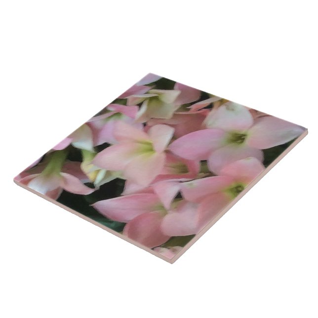 Kalanchoe Flowers Tile (Side)