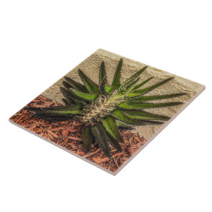 Kalanchoe Surprise Ceramic Tile