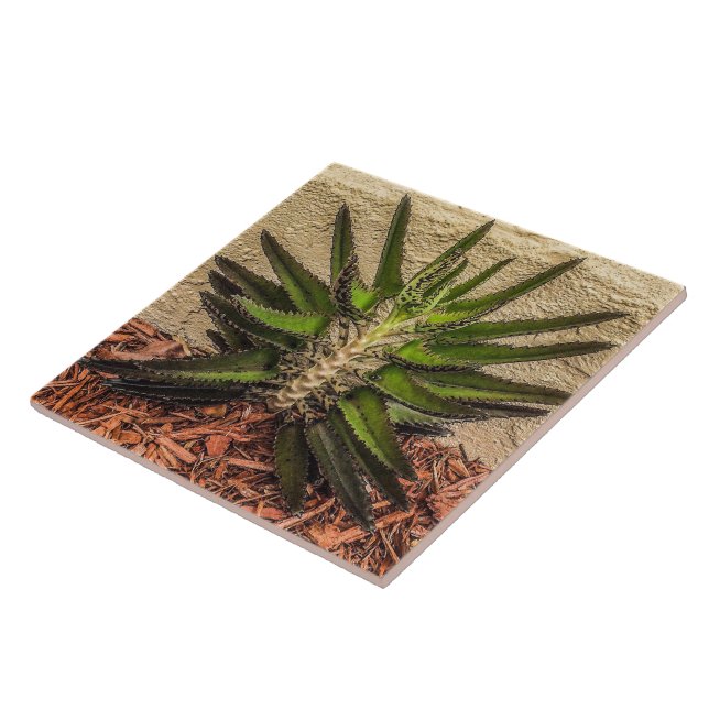 Kalanchoe Surprise Ceramic Tile (Side)