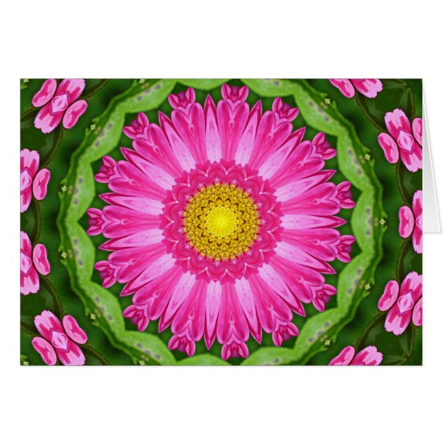 Kaleidoscope Aster (Front Horizontal)