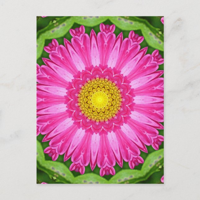 Kaleidoscope Aster Postcard (Front)