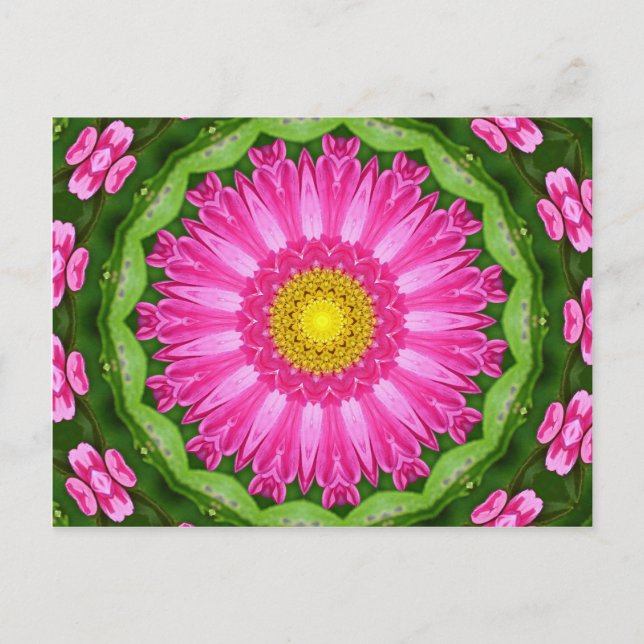 Kaleidoscope Aster Postcard (Front)