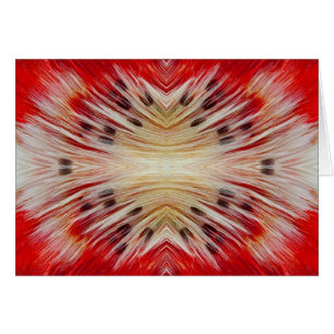 Kaleidoscope Bearded Barbet design