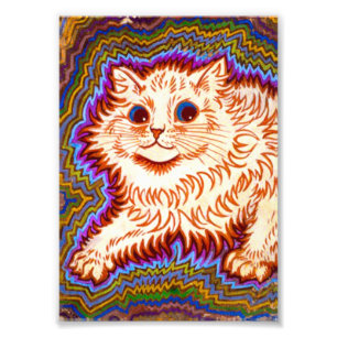 Kaleidoscope Cat Photo Print