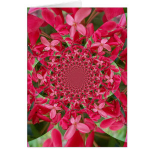 Kaleidoscope of Crimson: Blood Milkweed Flower Art