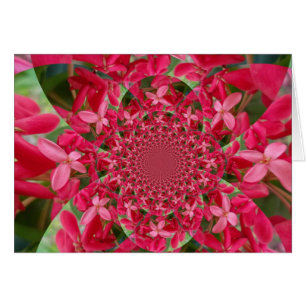 Kaleidoscope of Crimson: Blood Milkweed Flower Art