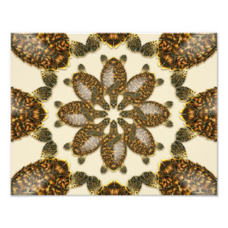 Kaleidoscopic Hawksbill Sea Turtle 14" x 11" Print