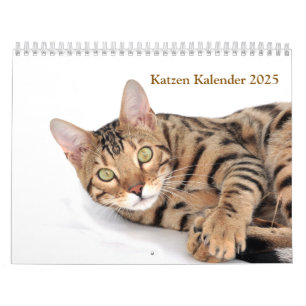 Kalender 2025 Cat Lover Katzen Calendar