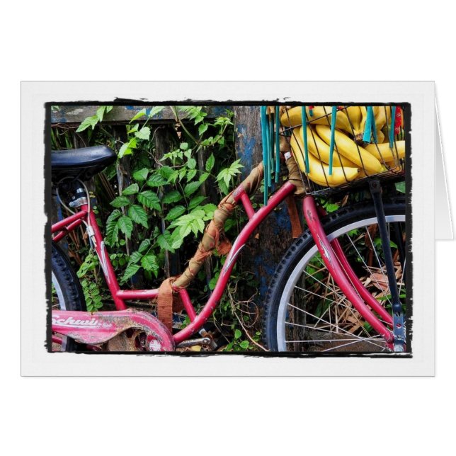 Kali Bike (Front Horizontal)