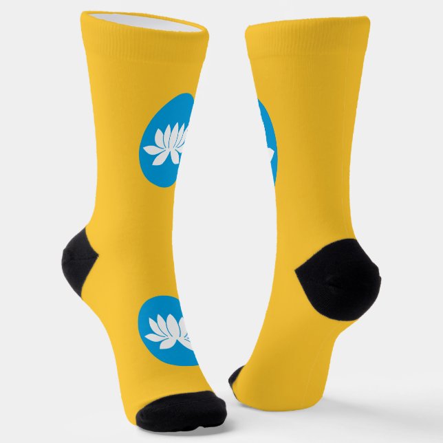Kalmykia Flag Socks (Angled)