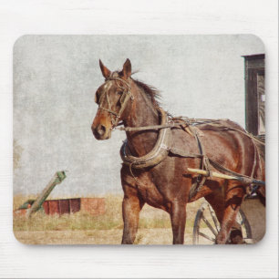 Kalona, Iowa Amish Horse and Buggy Mouse Pad