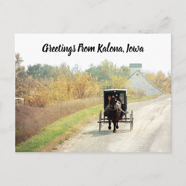 Kalona, Iowa Autumn Amish Horse and Buggy Postcard (Front)