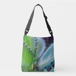 Kalonchoe Colours Crossbody Bag