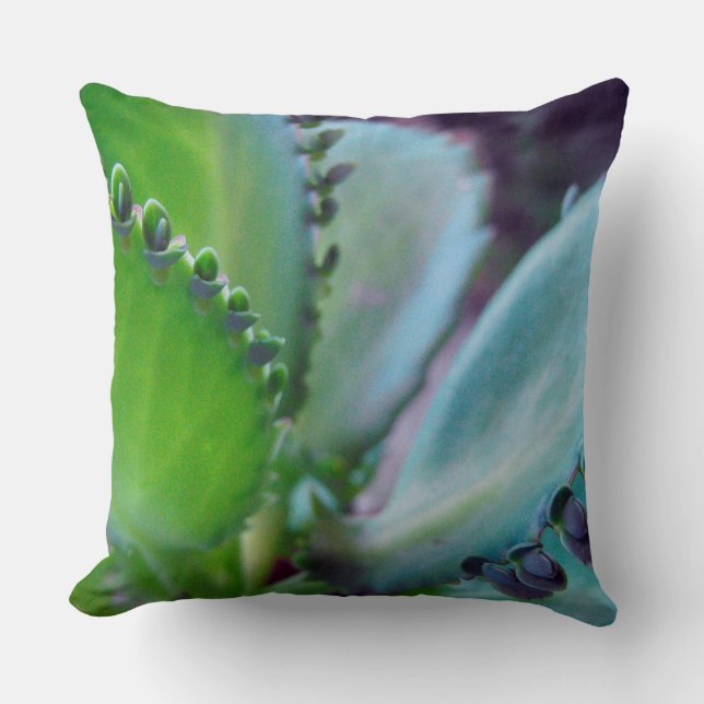 Kalonchoe Colours Cushion (Front)
