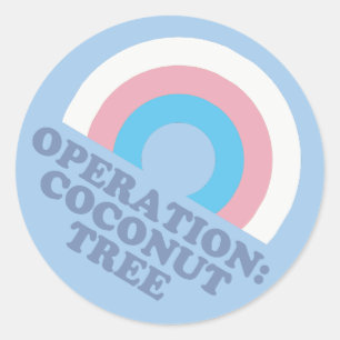 Kamala Harris Coconut Tree Trans Pride Flag Classic Round Sticker