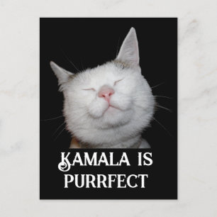 Kamala is Purrfect Postcard